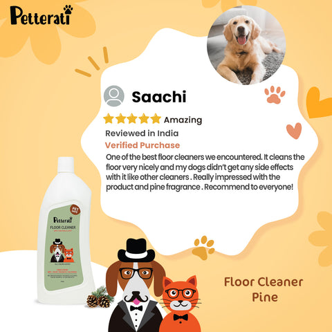 Bean & Lily Floor Cleaner - Cedar & Cypress - 24 oz - pH Neutral Natural  Floor Cleaner - Pet-safe : : Health & Personal Care