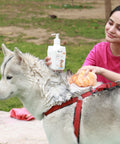 Cleansing and moisturizing dog shampoo with oatmeal and manuka honey