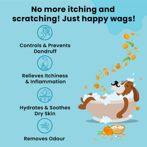 Dog Shampoo for Itchy Skin with Conditioner 400 ml | Sulphate & Paraben Free